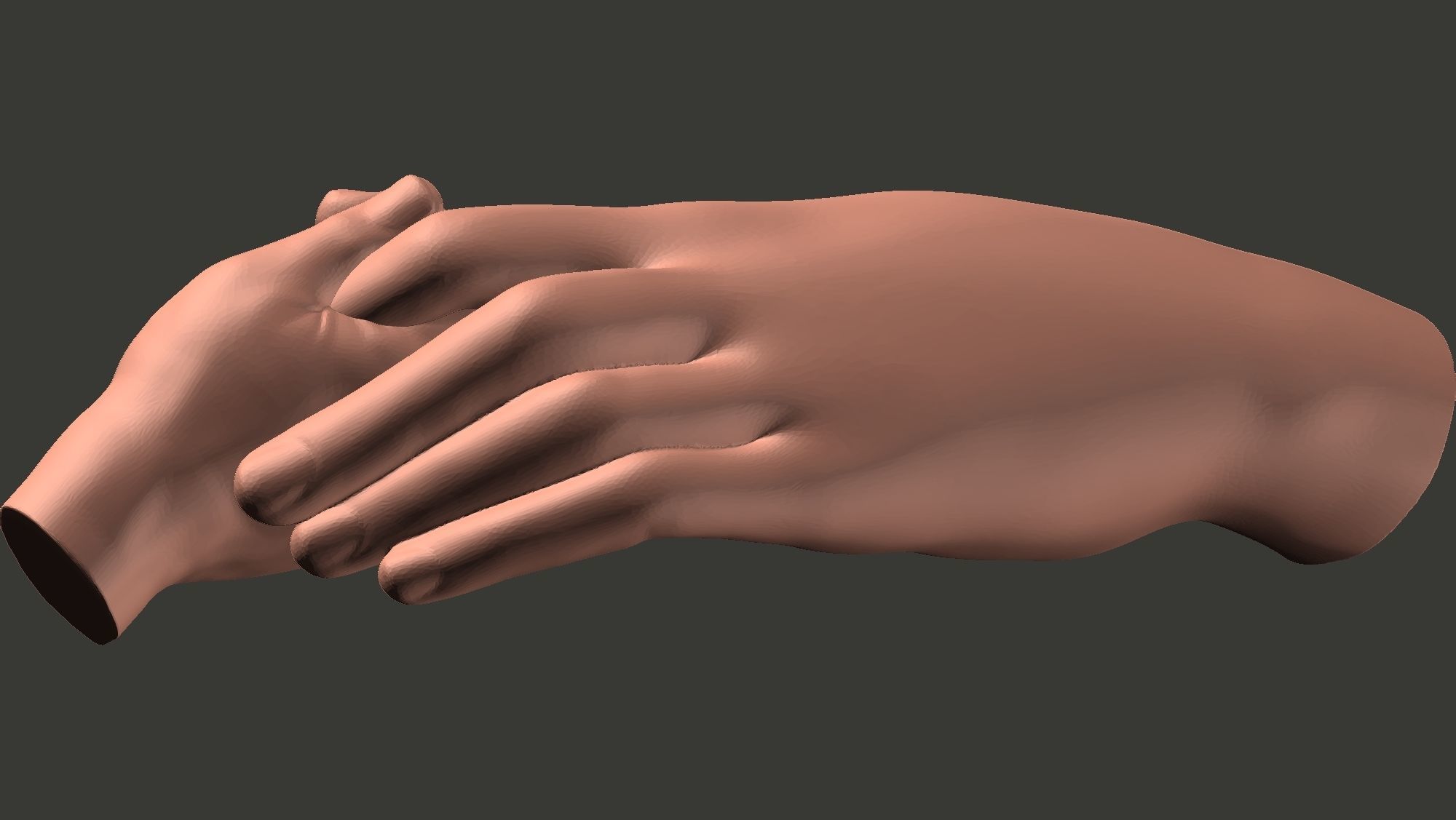 Mother and Baby Hands 3d print model 3D print model_9