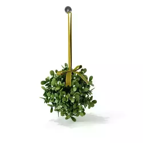 Christmas Mistletoe Green Holiday