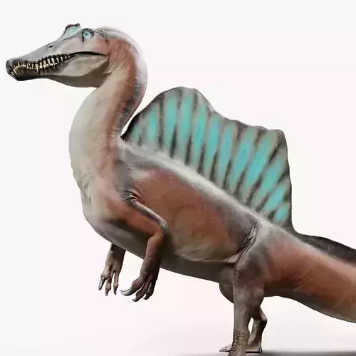 Spinosaurus Aegyptiacus - Rigged Low-poly 3D model