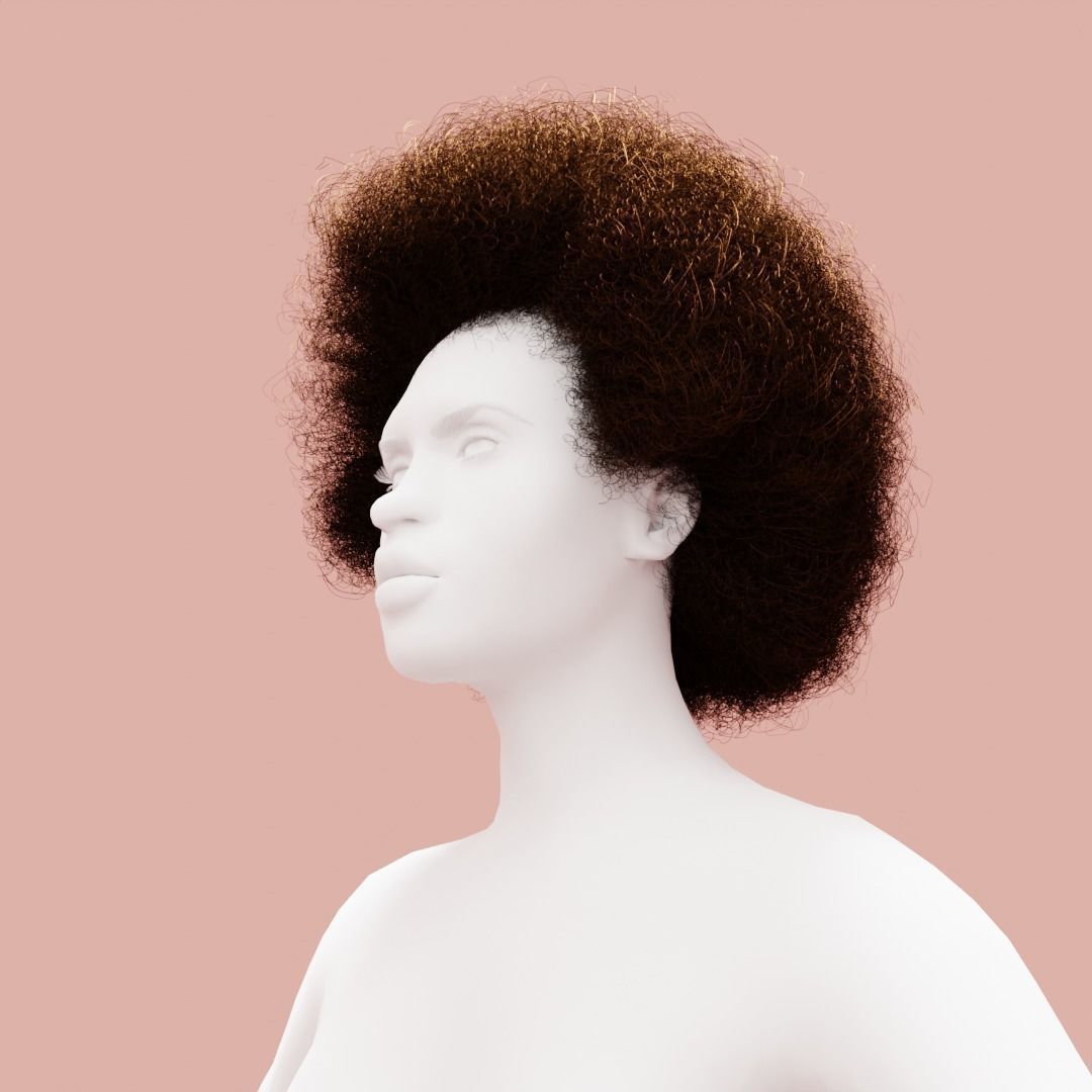 Brown Medium Afro 3D model_2