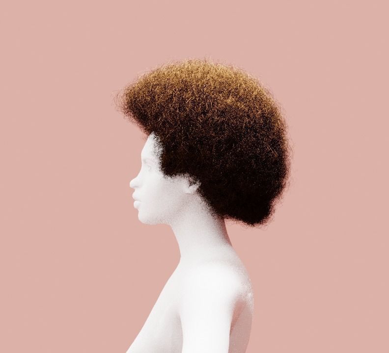 Brown Medium Afro 3D model_6