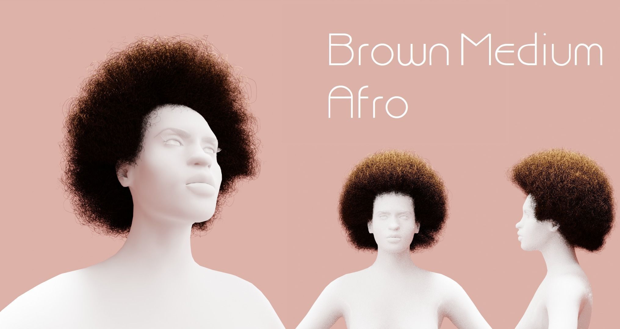 Brown Medium Afro 3D model_1