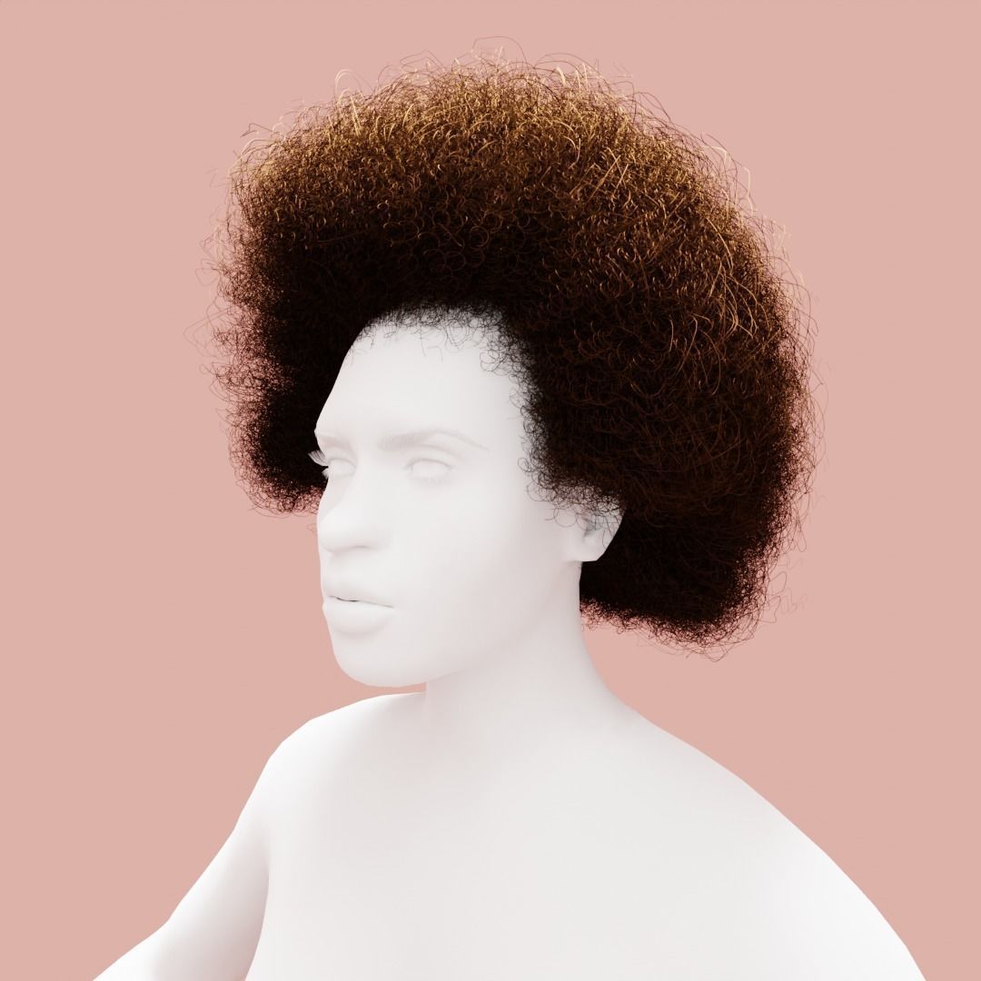 Brown Medium Afro 3D model_5