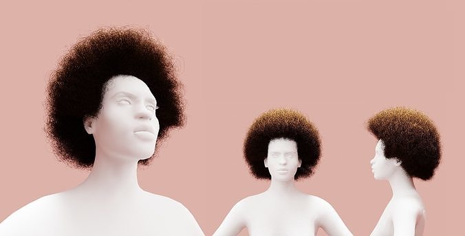Brown Medium Afro 3D model