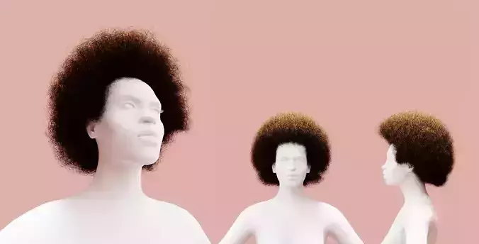 Brown Medium Afro 3D model