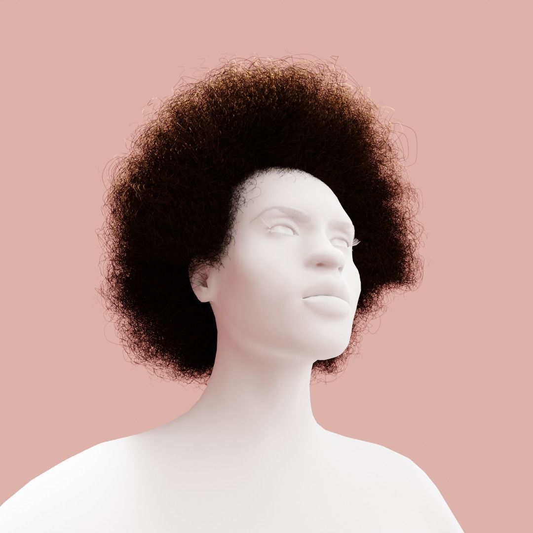 Brown Medium Afro 3D model_3