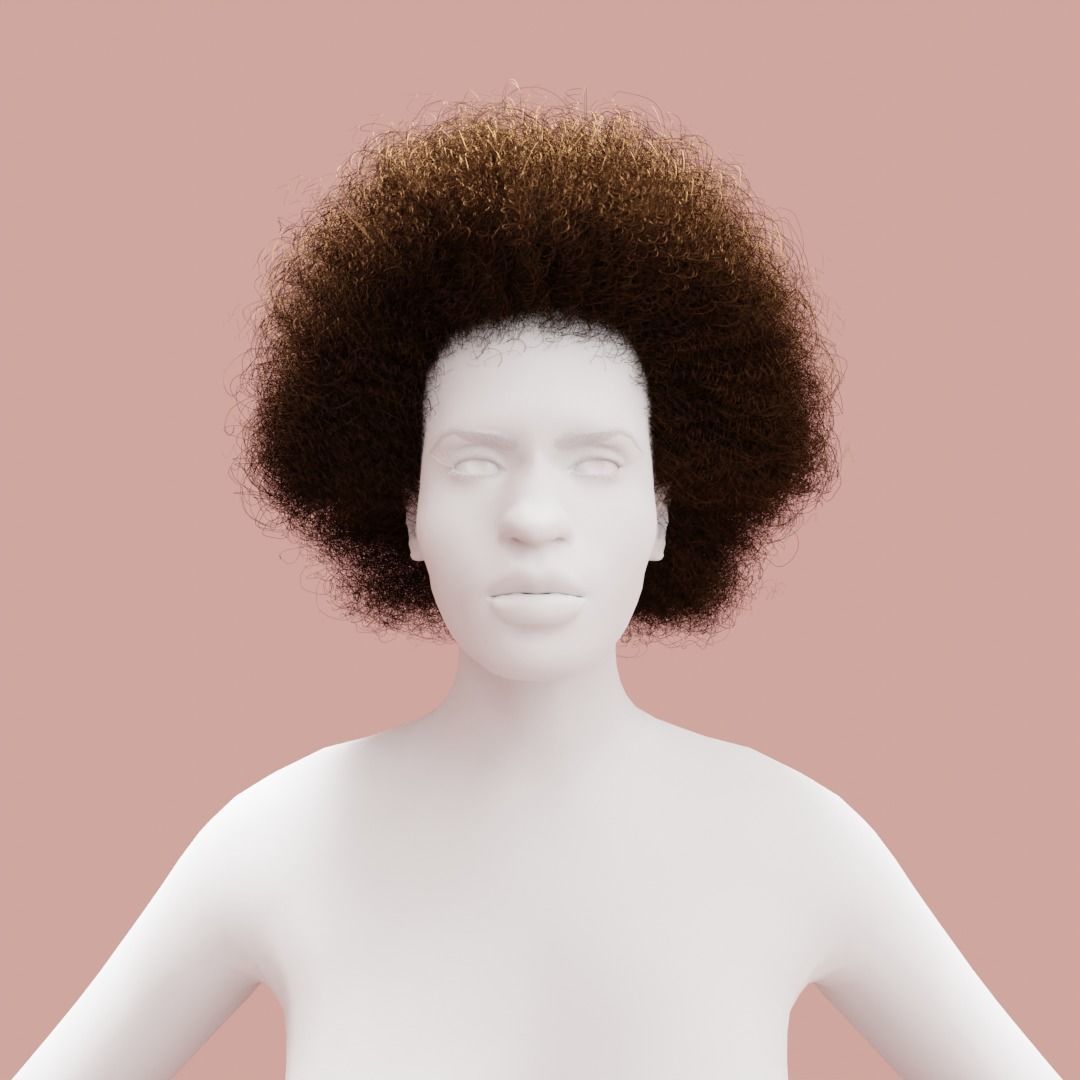 Brown Medium Afro 3D model_4