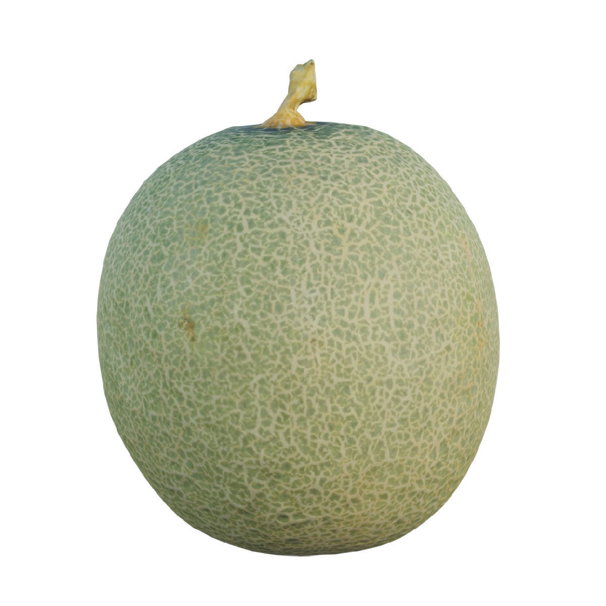 Cantaloupe Low-poly 3D model_2