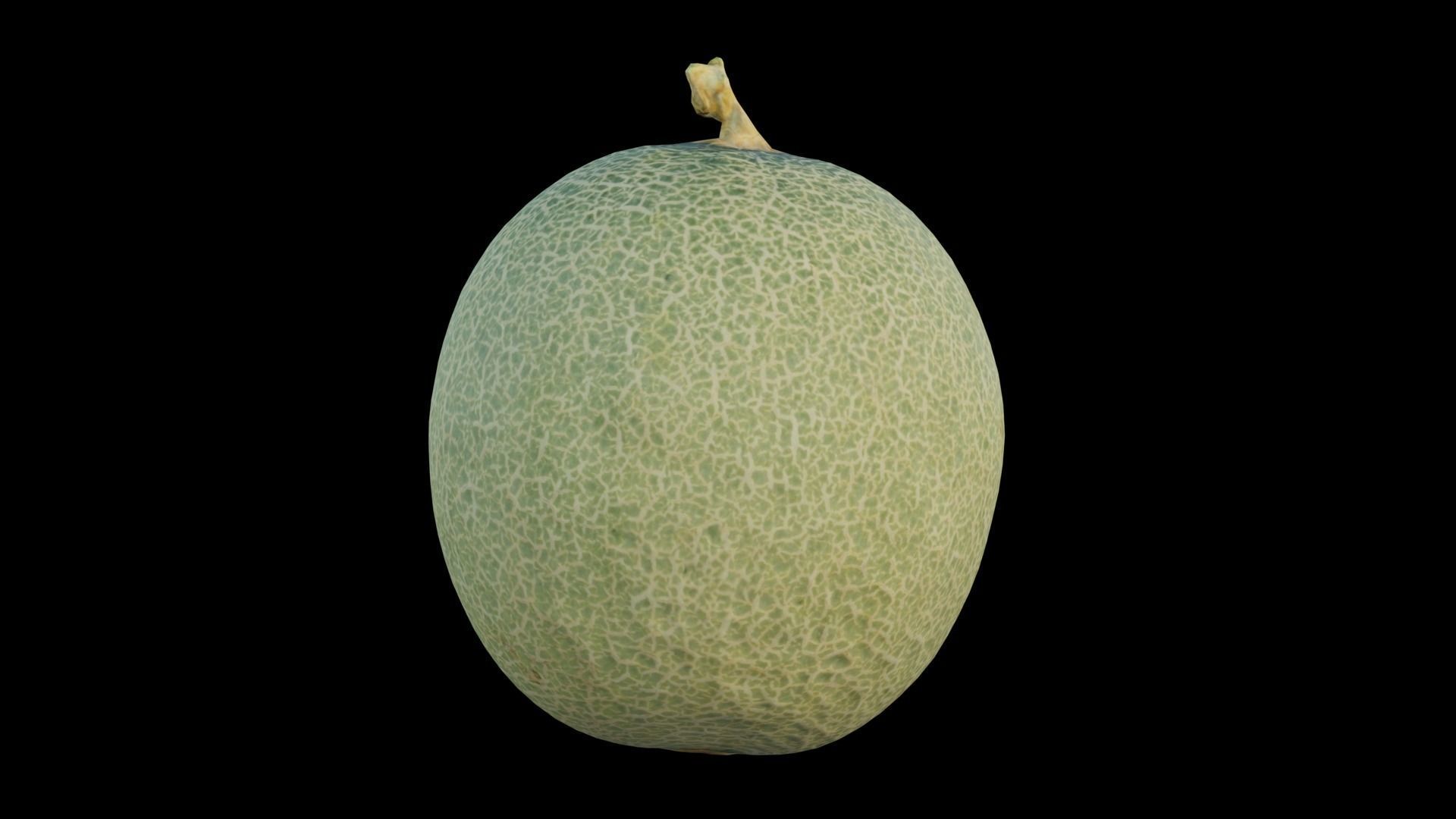 Cantaloupe Low-poly 3D model_11