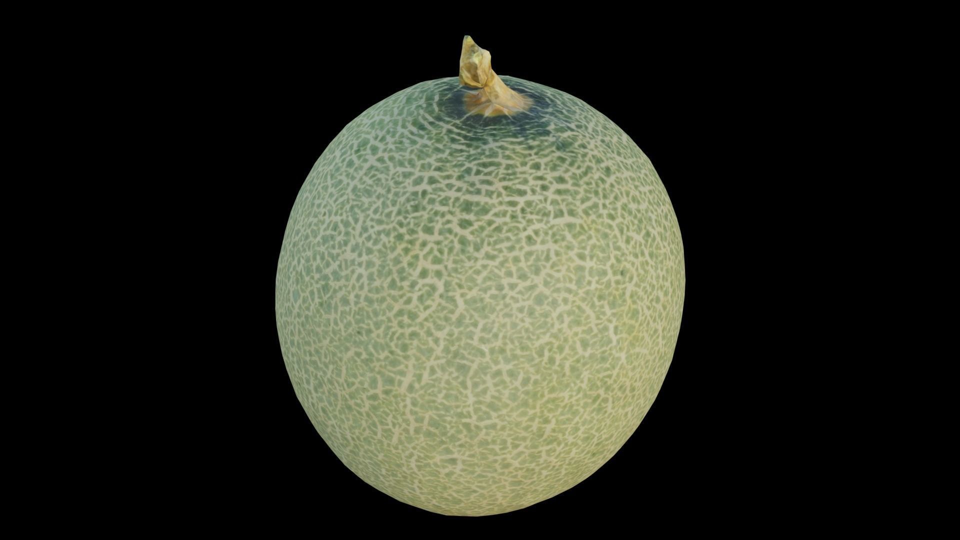 Cantaloupe Low-poly 3D model_13