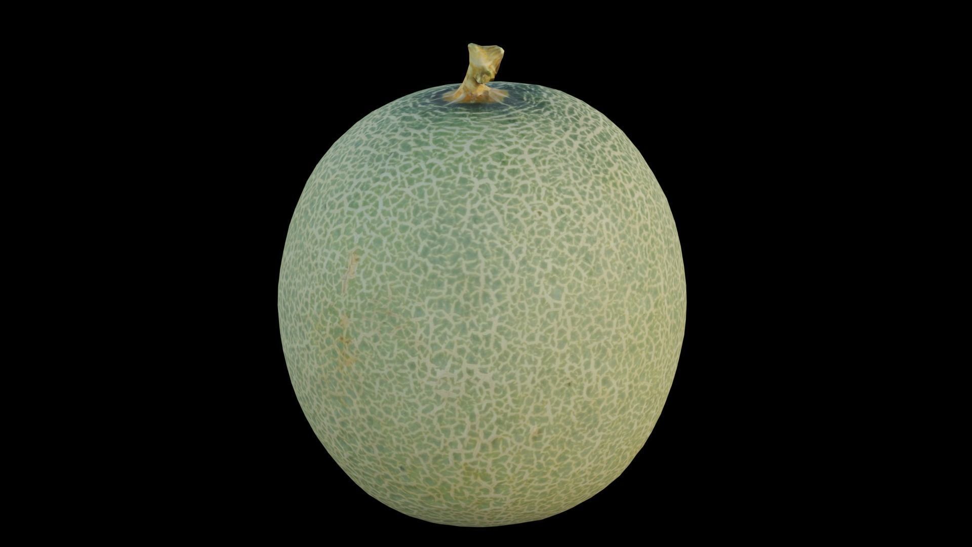 Cantaloupe Low-poly 3D model_7