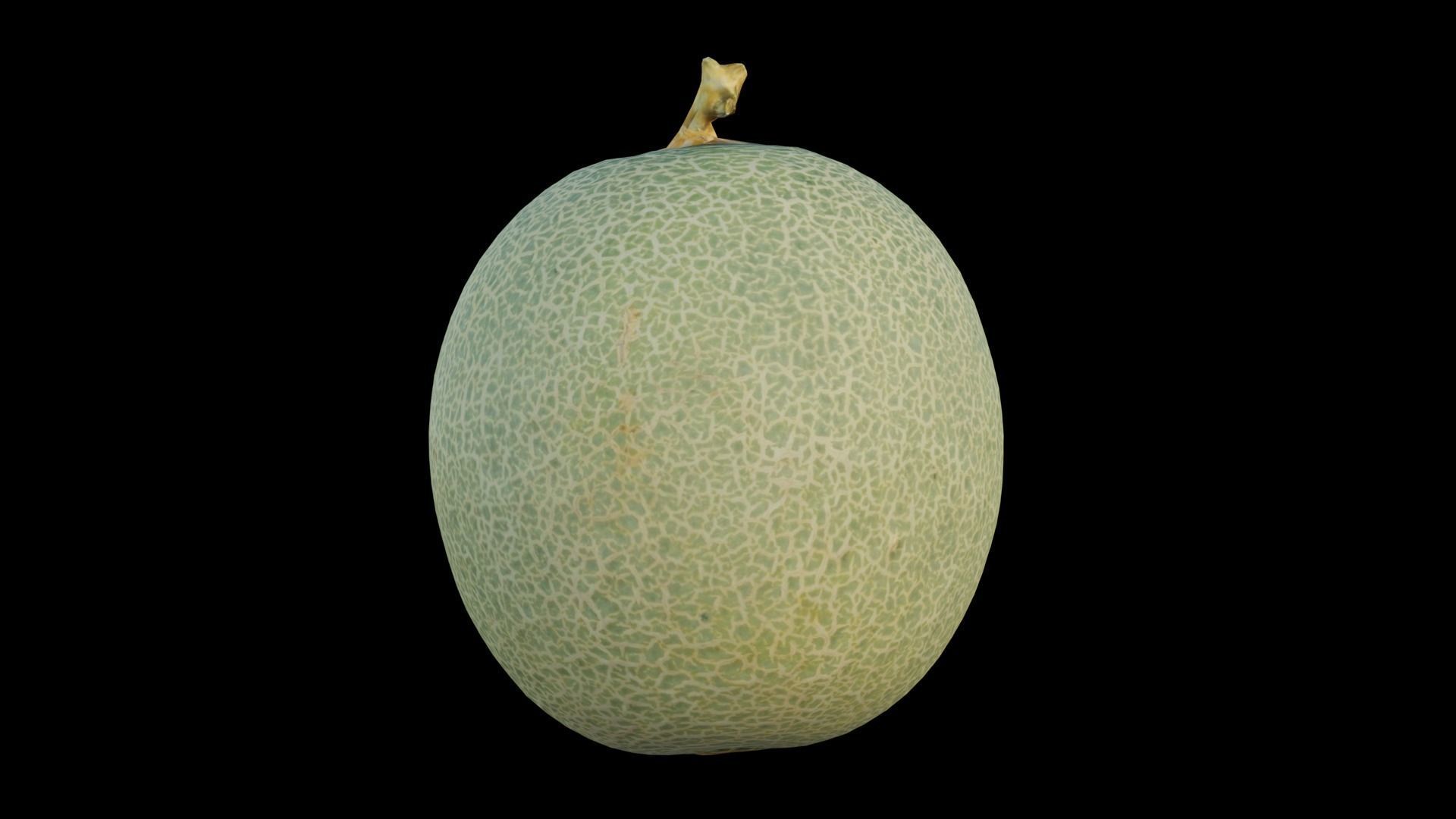 Cantaloupe Low-poly 3D model_8