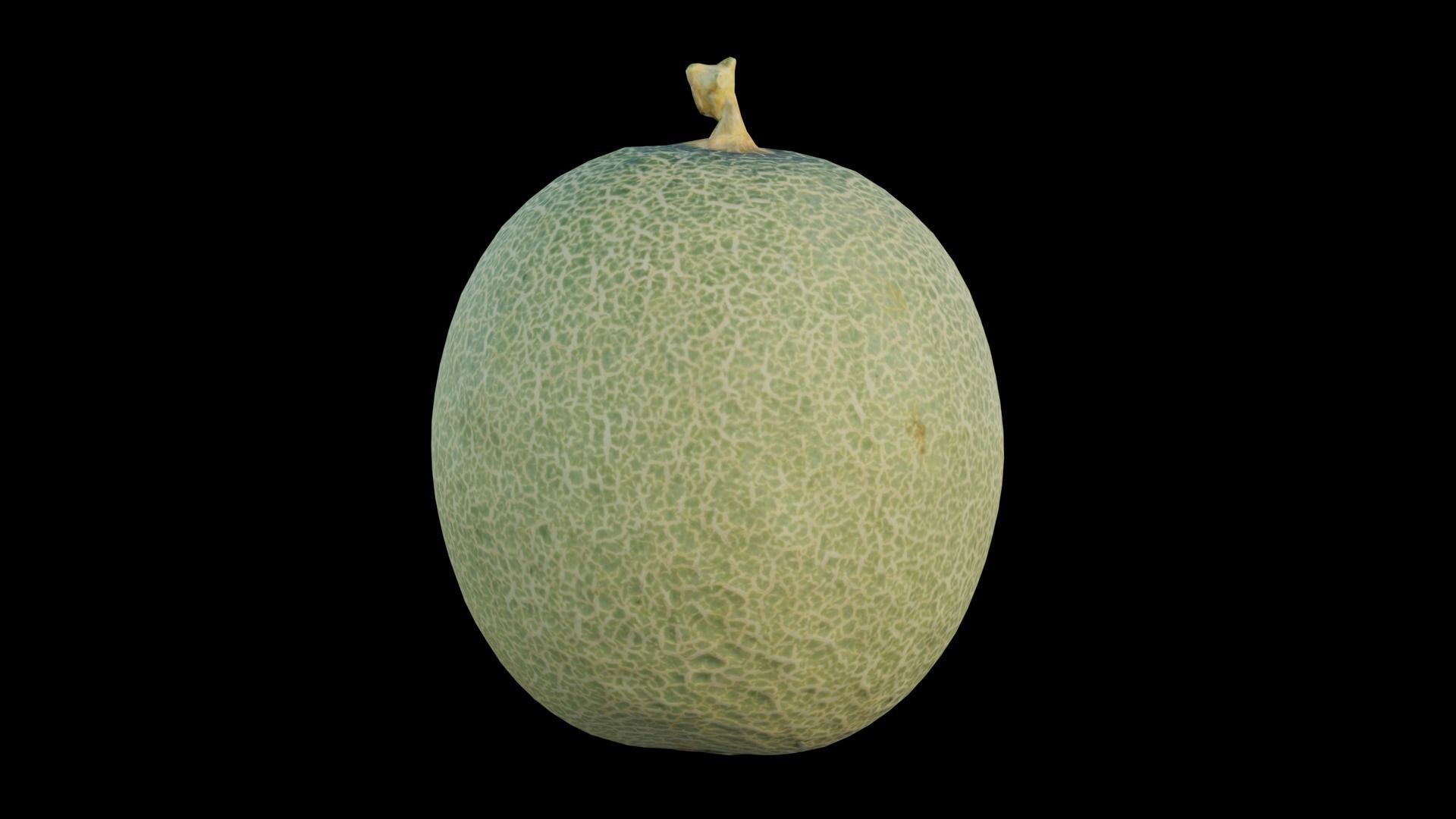 Cantaloupe Low-poly 3D model_10