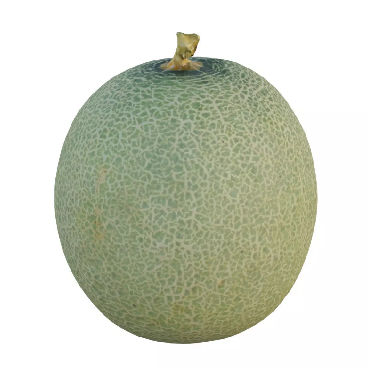 Cantaloupe Low-poly 3D model_0