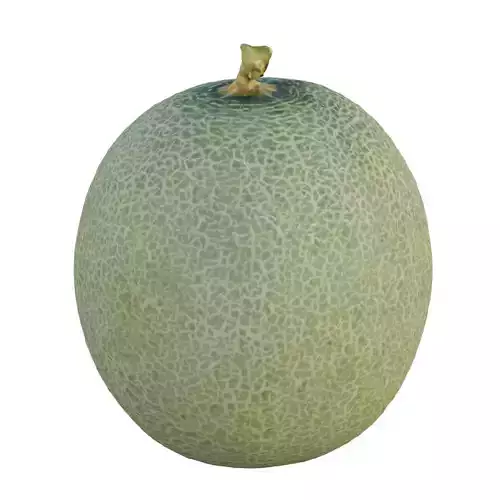 Cantaloupe Low-poly 3D model