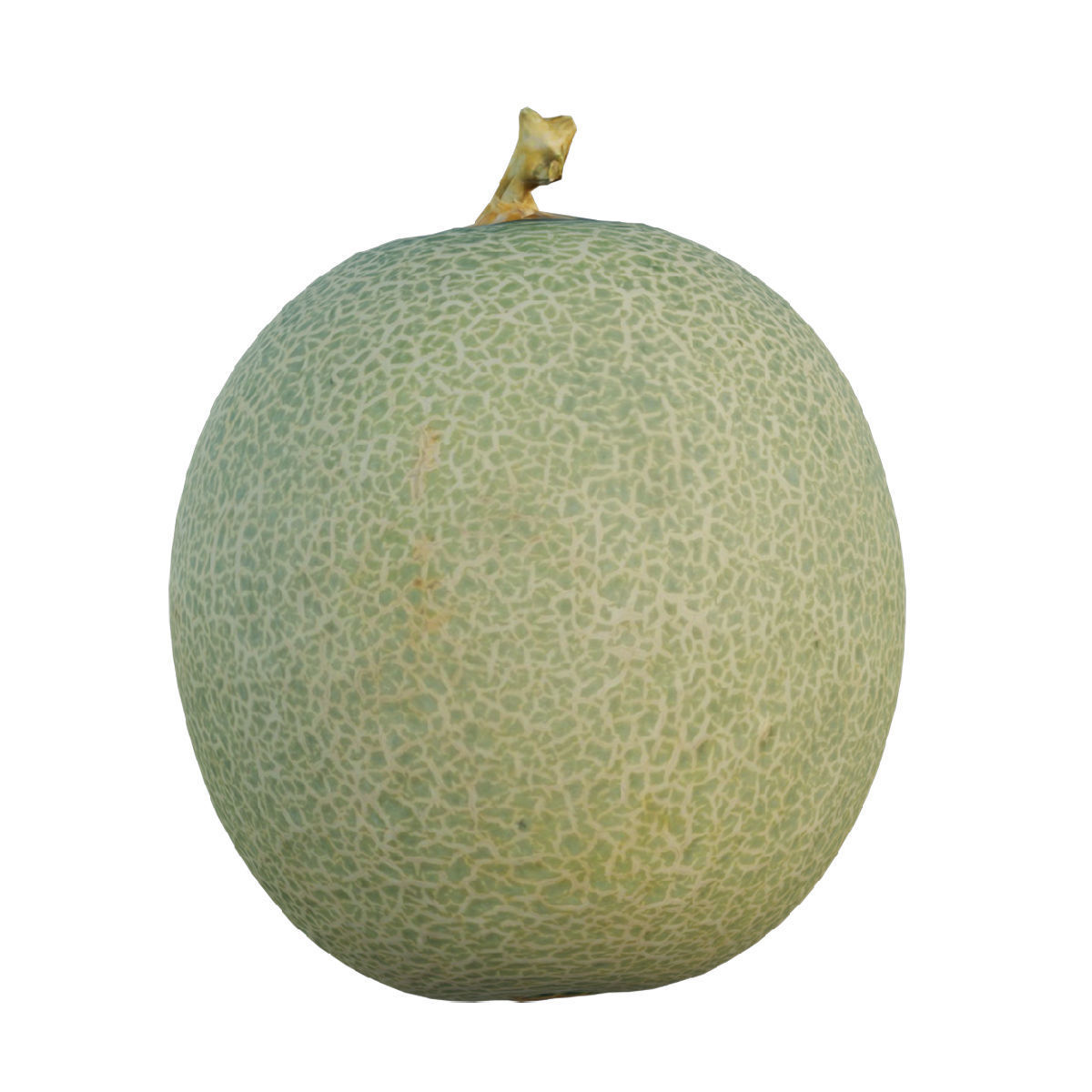 Cantaloupe Low-poly 3D model_1