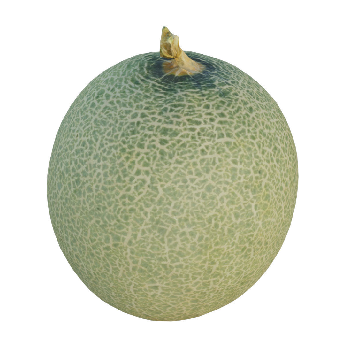 Cantaloupe Low-poly 3D model_3