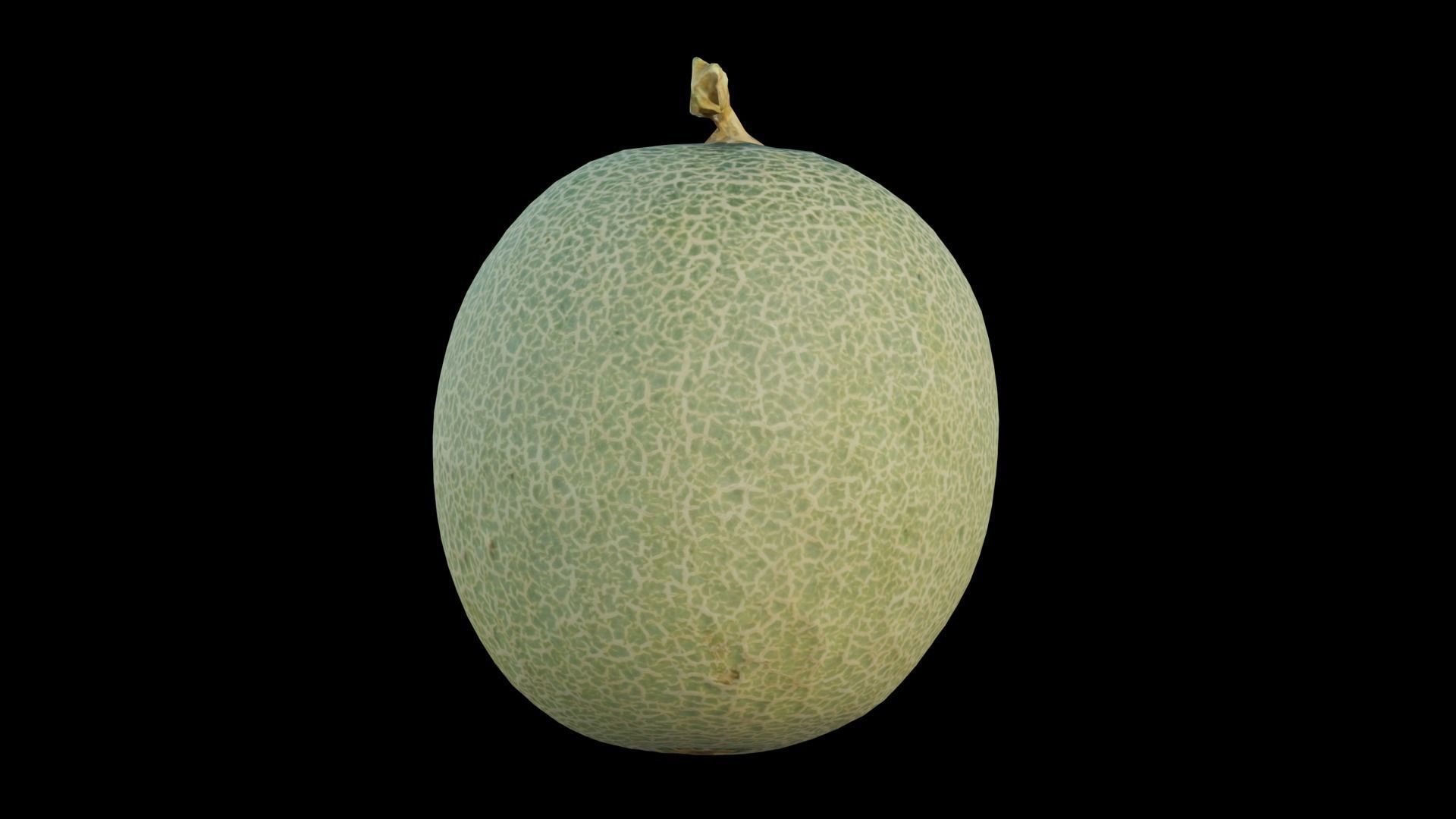 Cantaloupe Low-poly 3D model_12