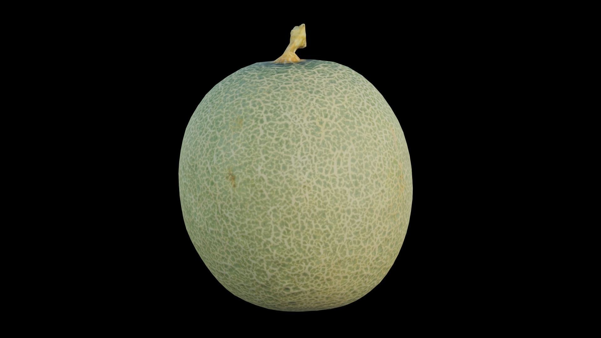 Cantaloupe Low-poly 3D model_9