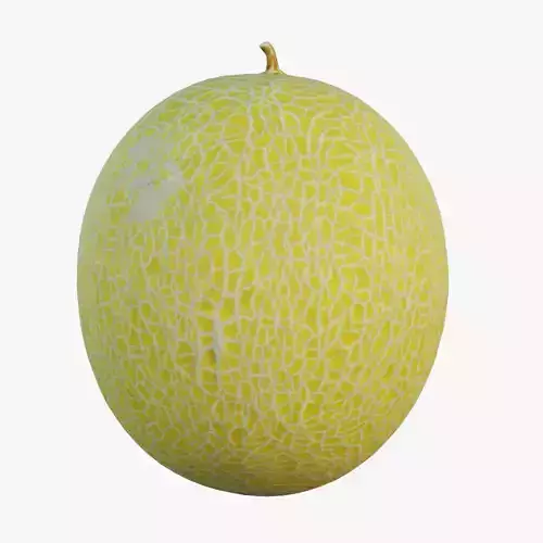 Cantaloupe melon 3D model