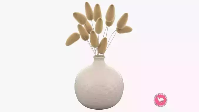 Bunny Tails Plant Low-poly 3D model