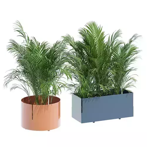 Robertirattan two planters