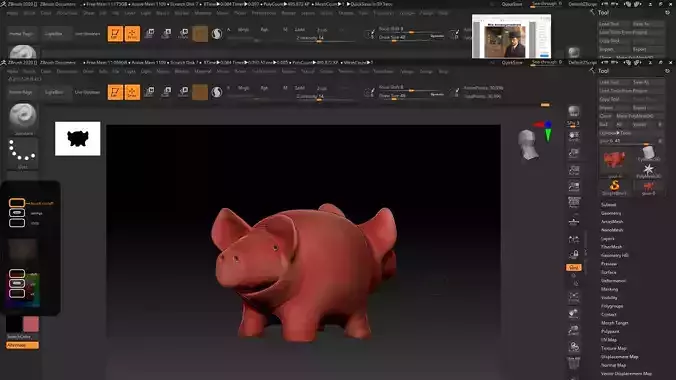 Siamese pig model