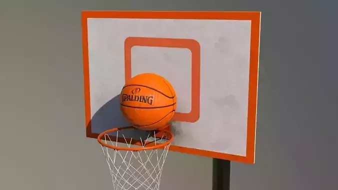 Basketball Hoop and Ball Collection 