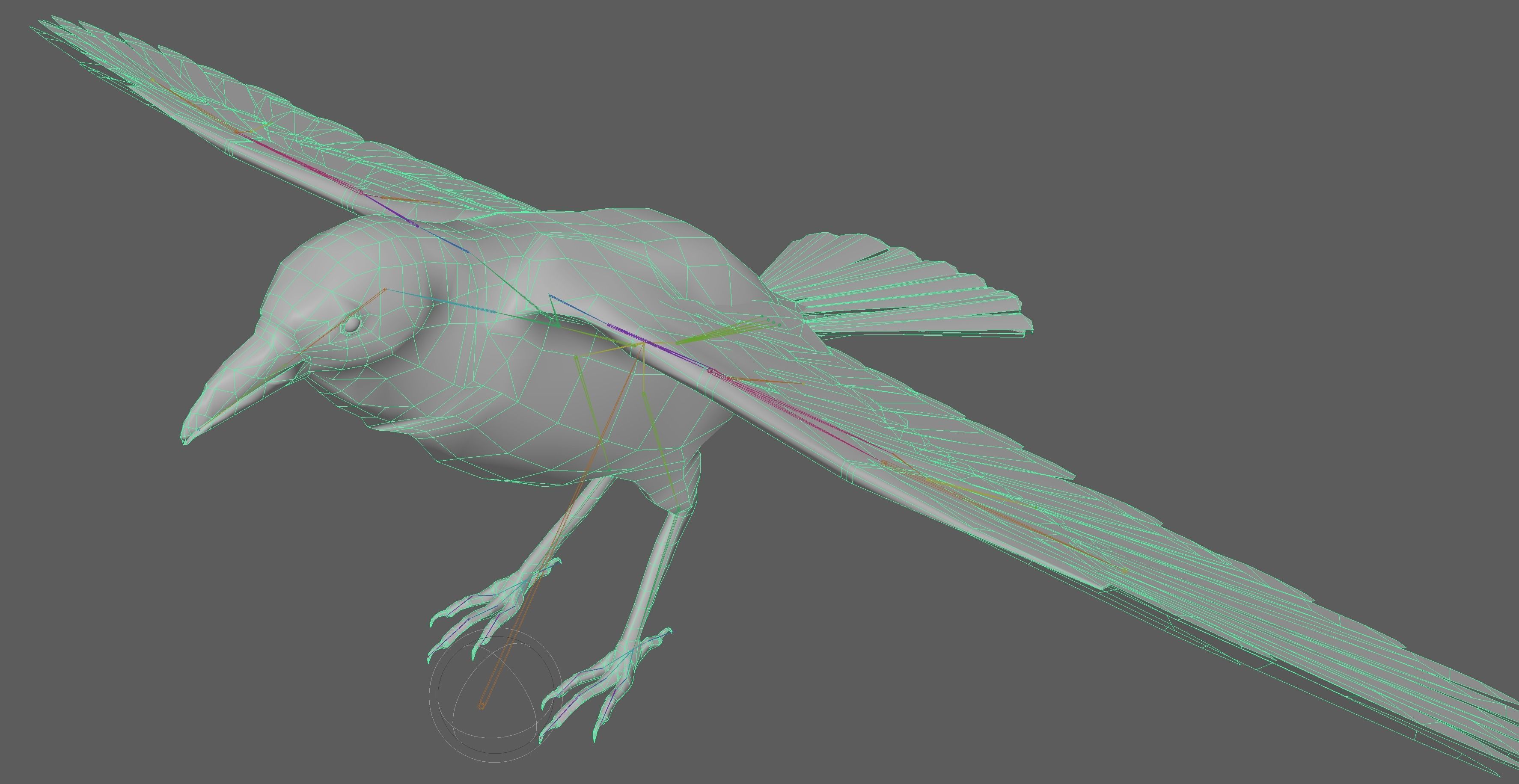 Crow Rig Low-poly 3D model_13