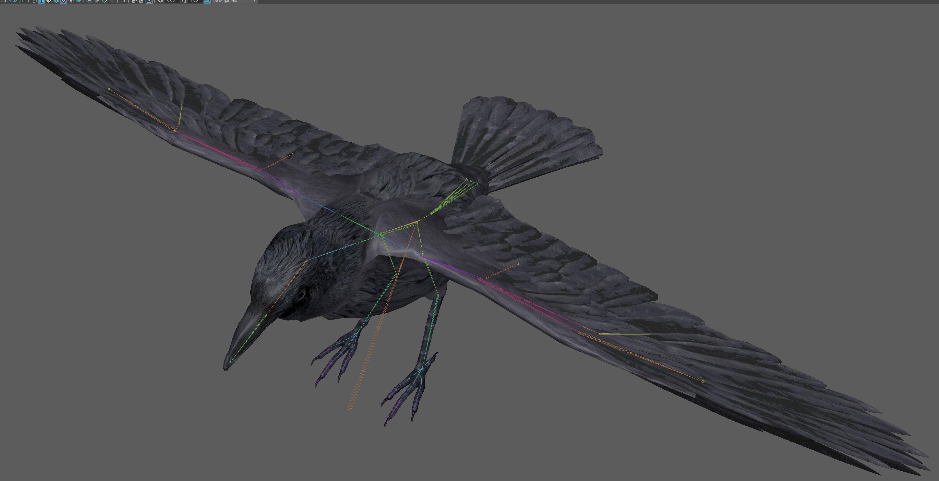 Crow Rig Low-poly 3D model_12