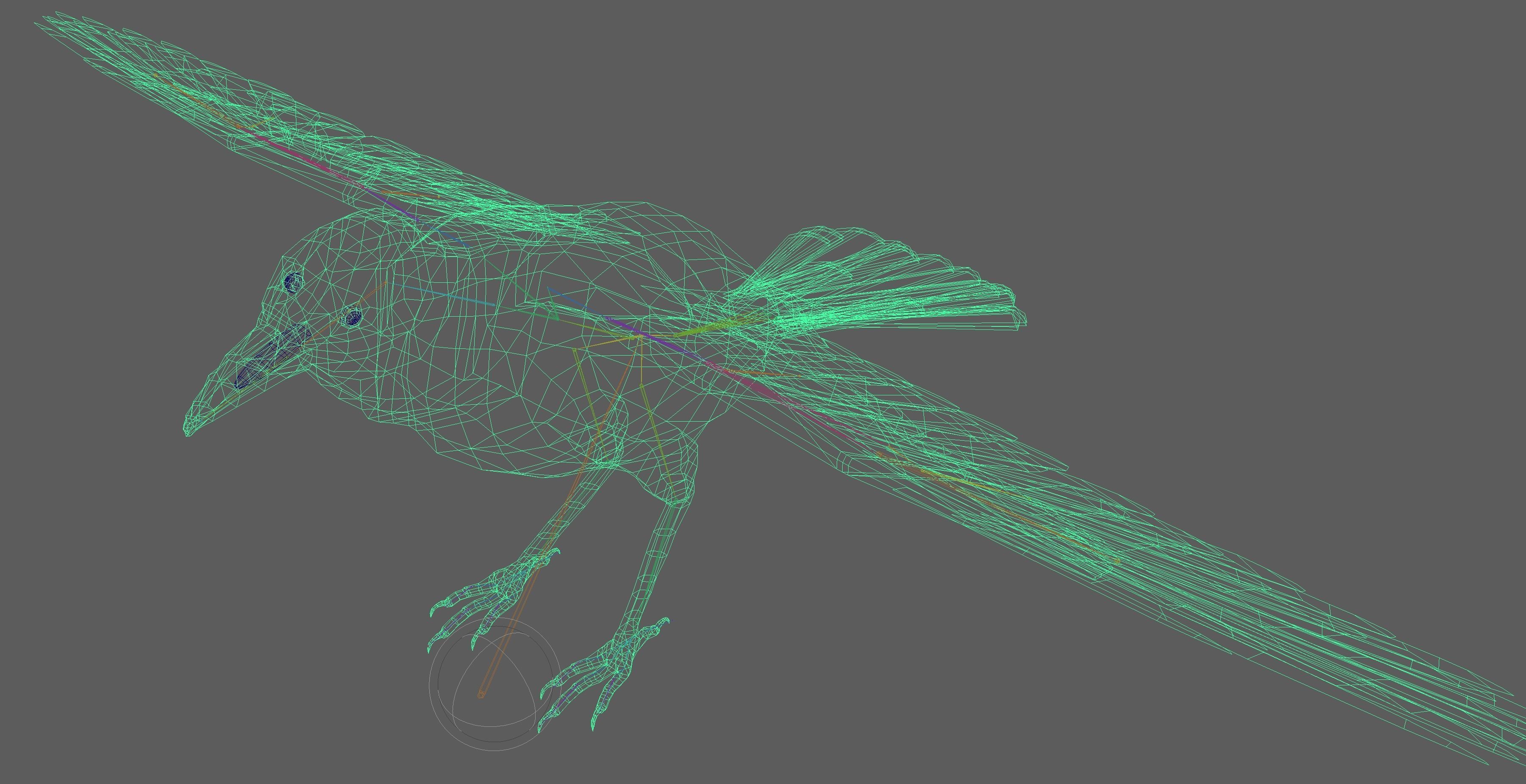Crow Rig Low-poly 3D model_14