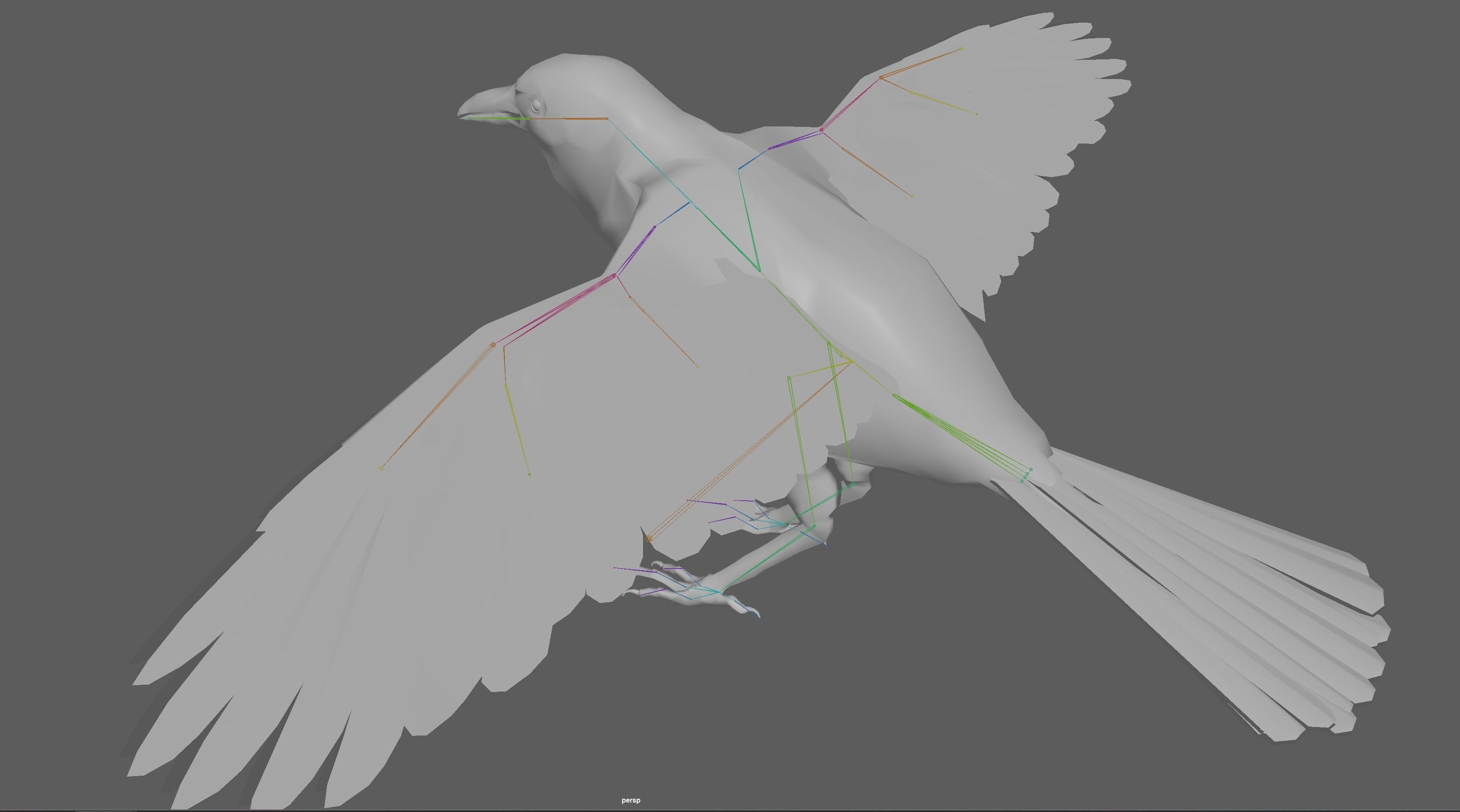 Crow Rig Low-poly 3D model_19