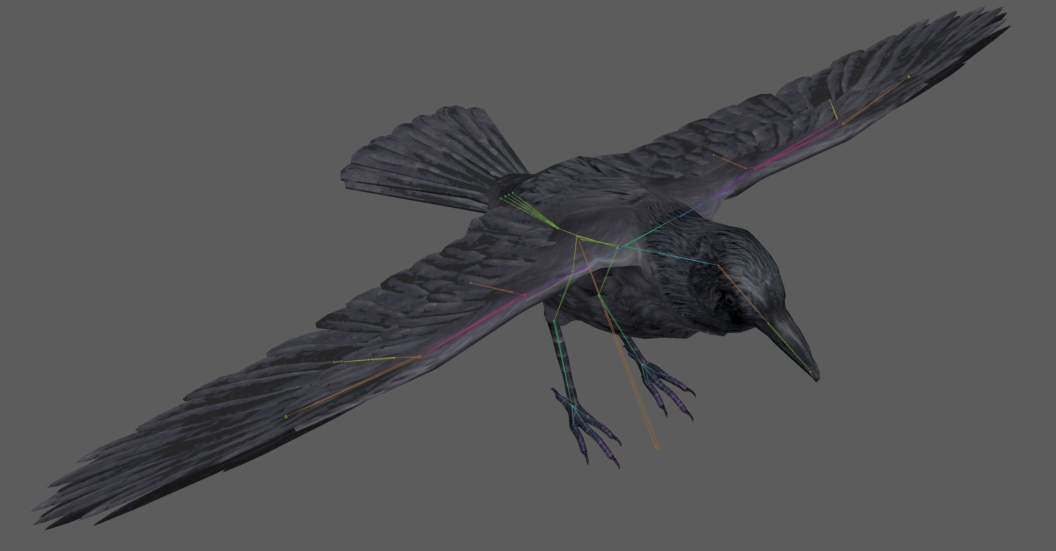 Crow Rig Low-poly 3D model_10