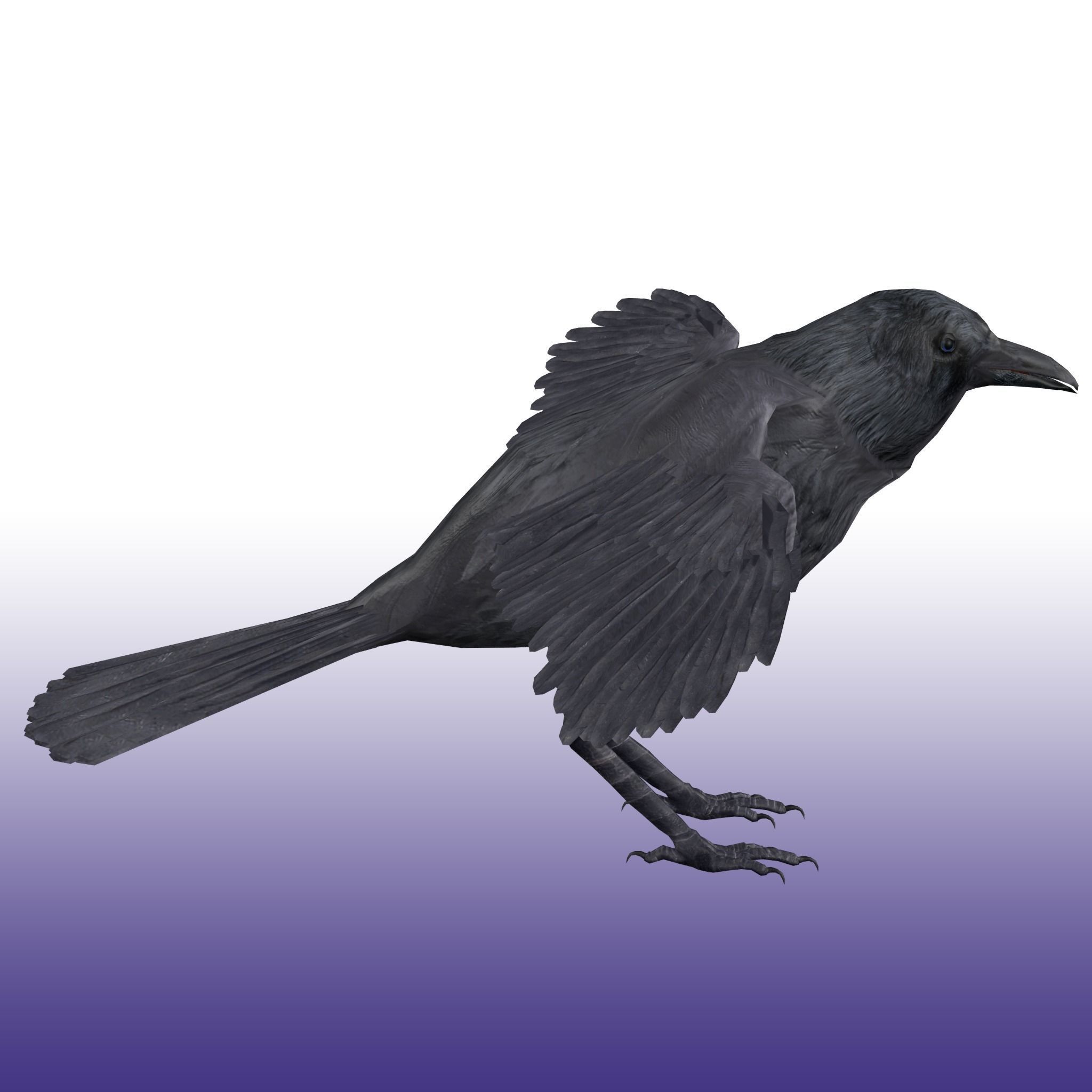 Crow Rig Low-poly 3D model_5