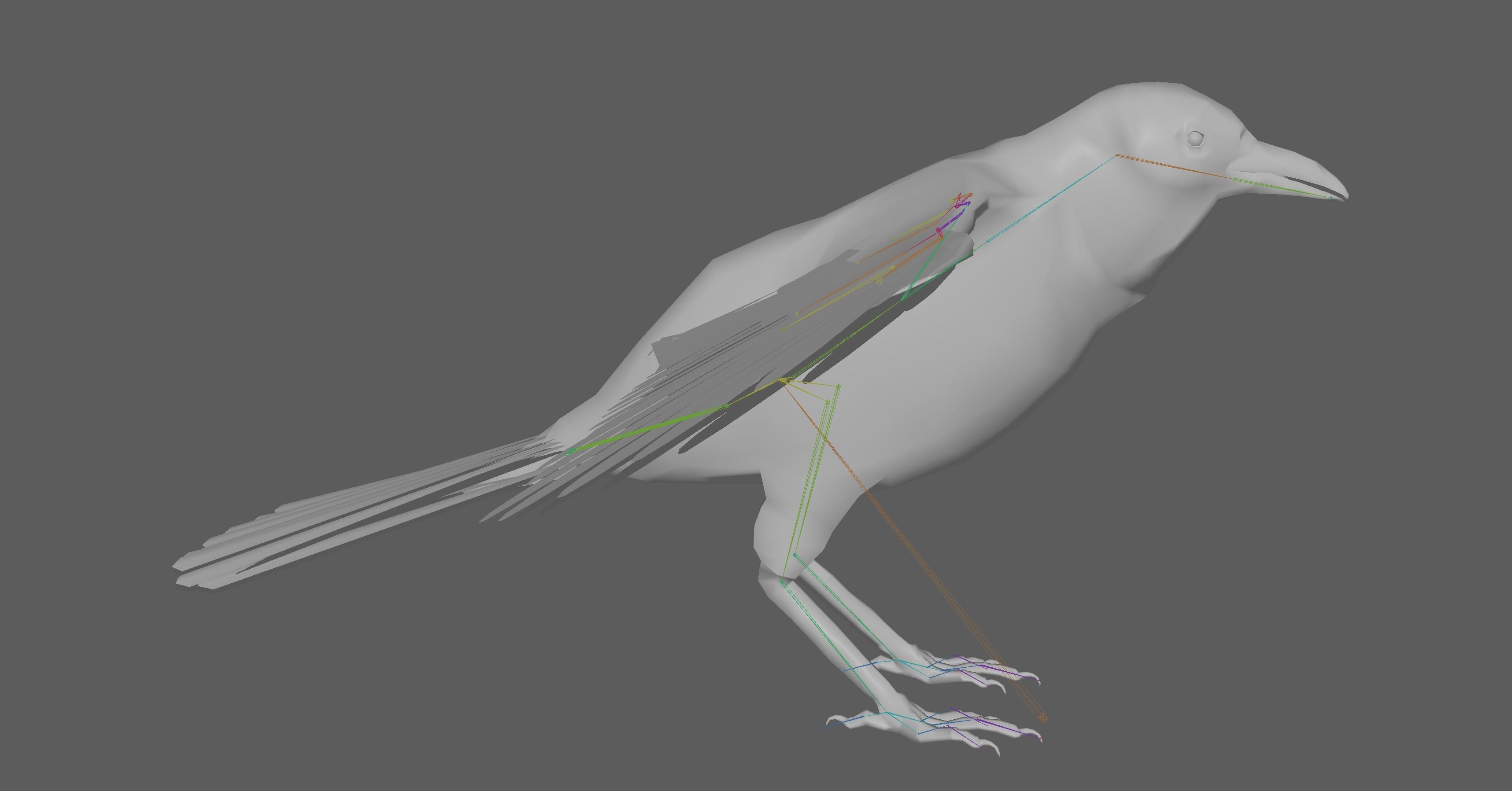 Crow Rig Low-poly 3D model_17