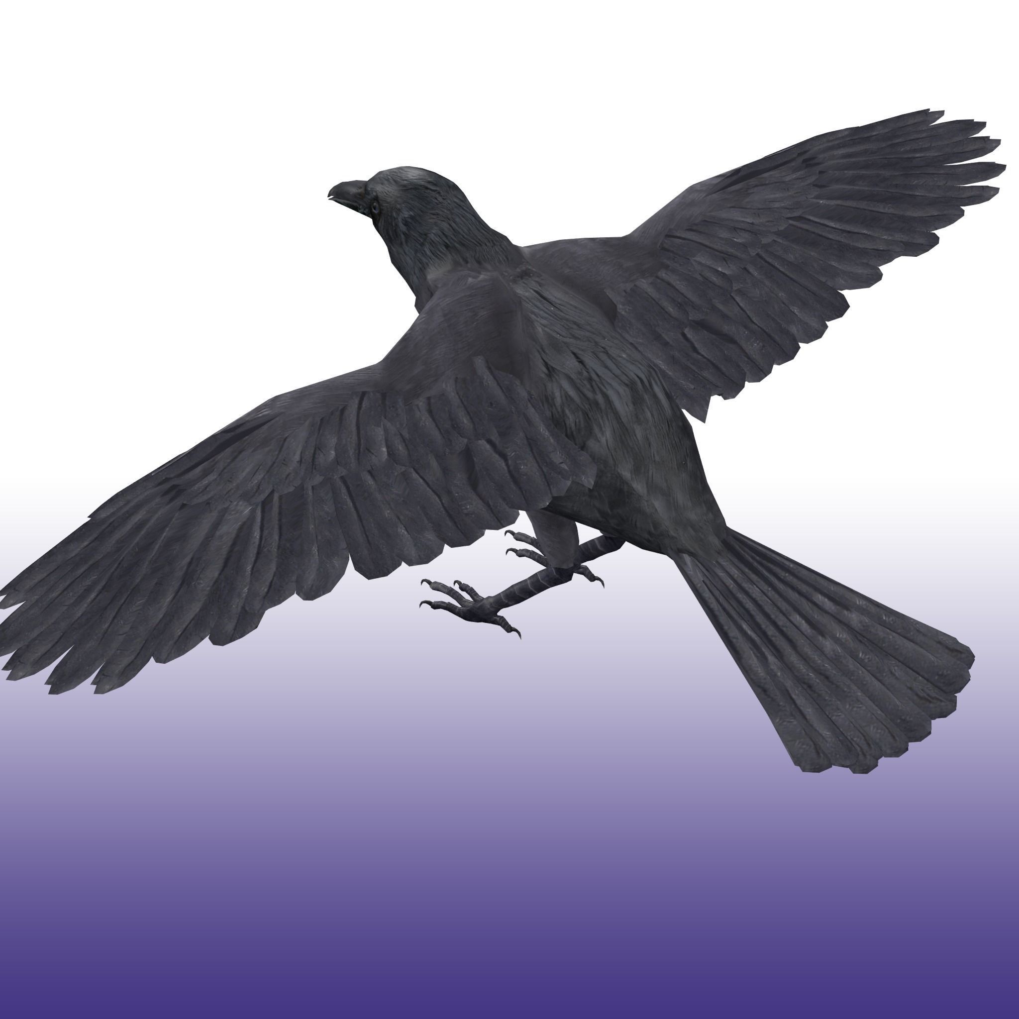 Crow Rig Low-poly 3D model_4