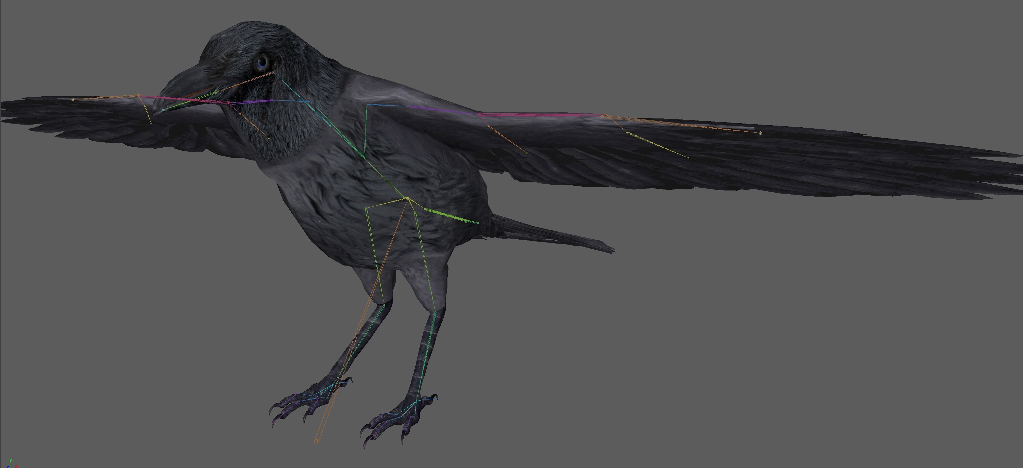 Crow Rig Low-poly 3D model_8