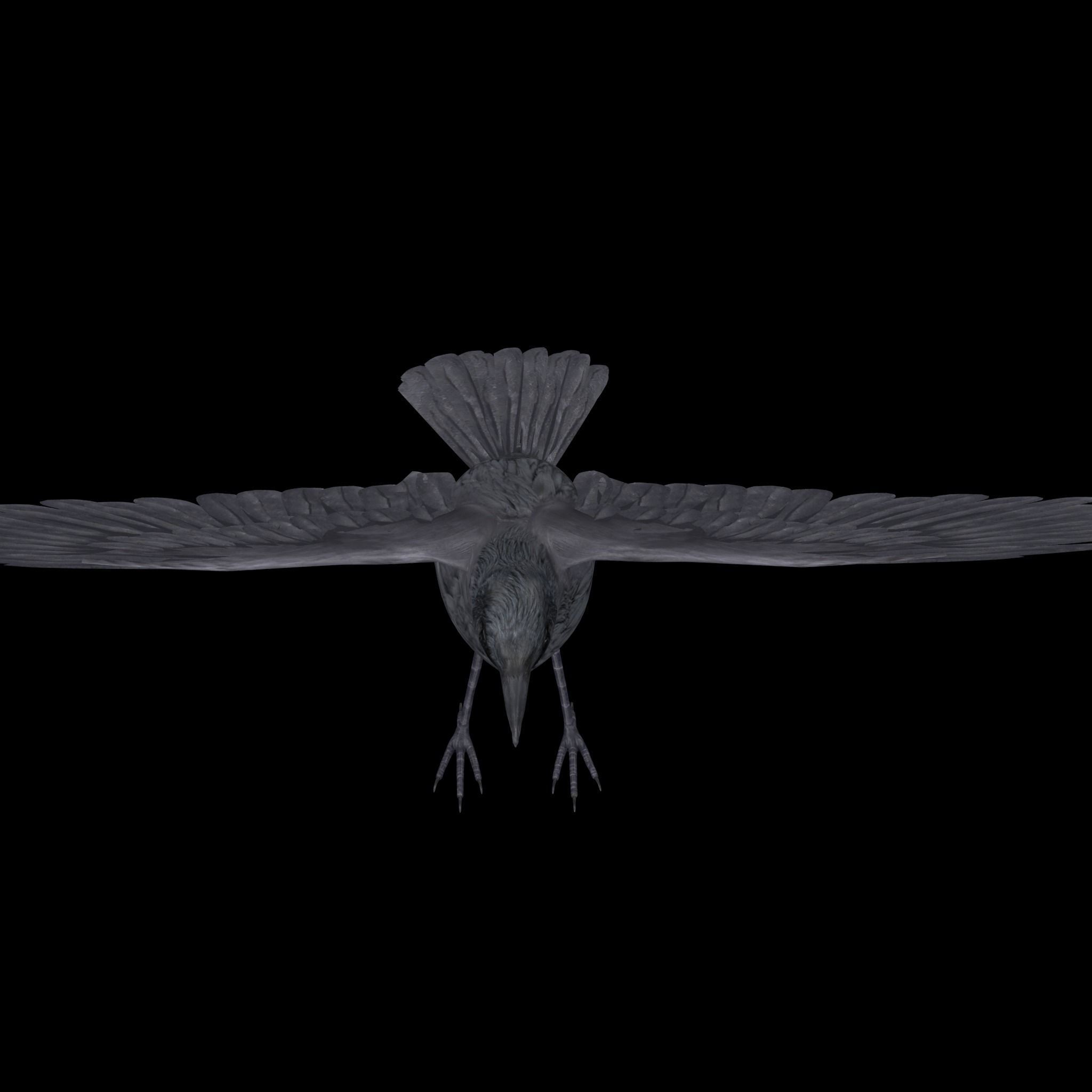 Crow Rig Low-poly 3D model_6