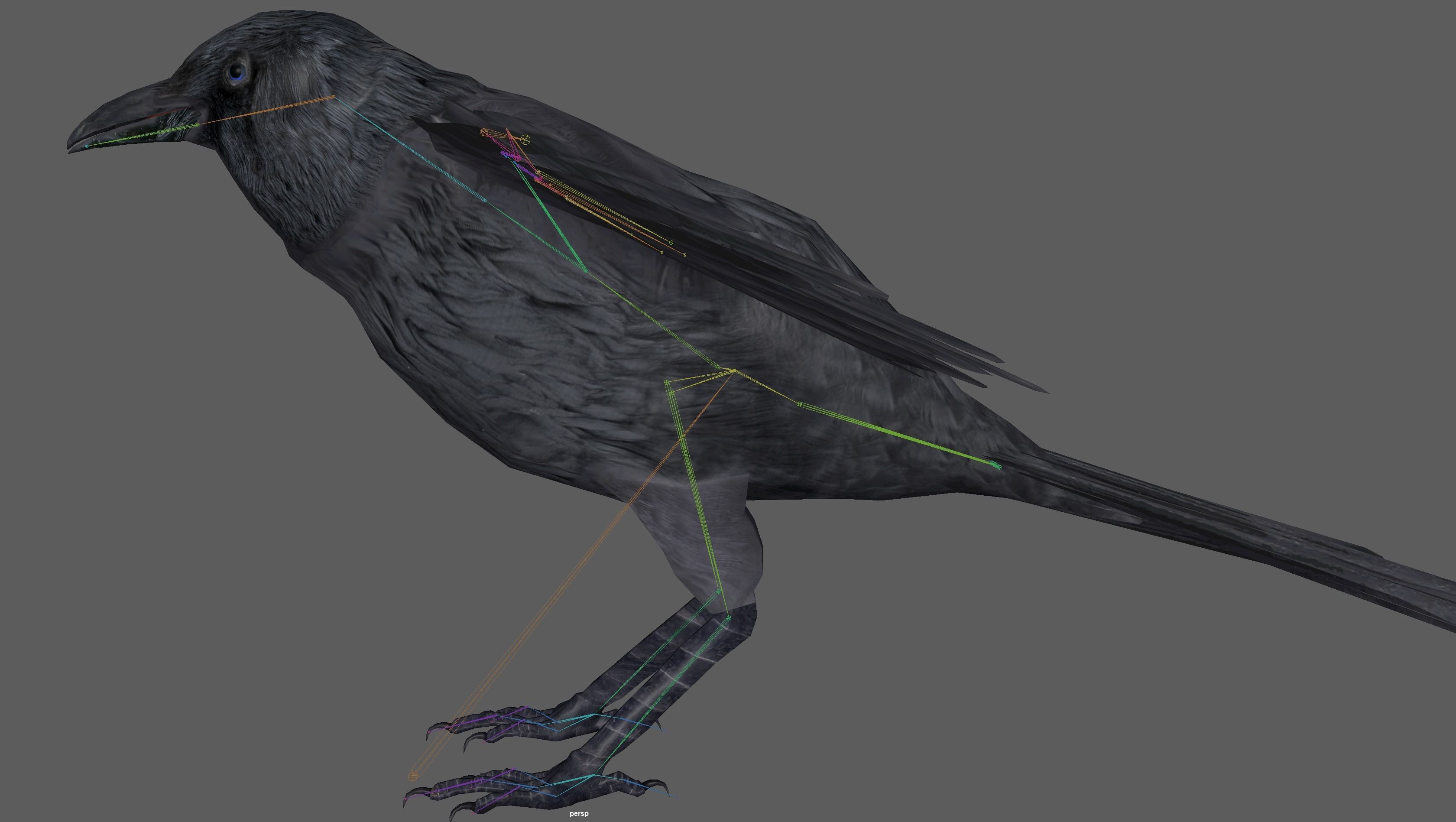 Crow Rig Low-poly 3D model_20