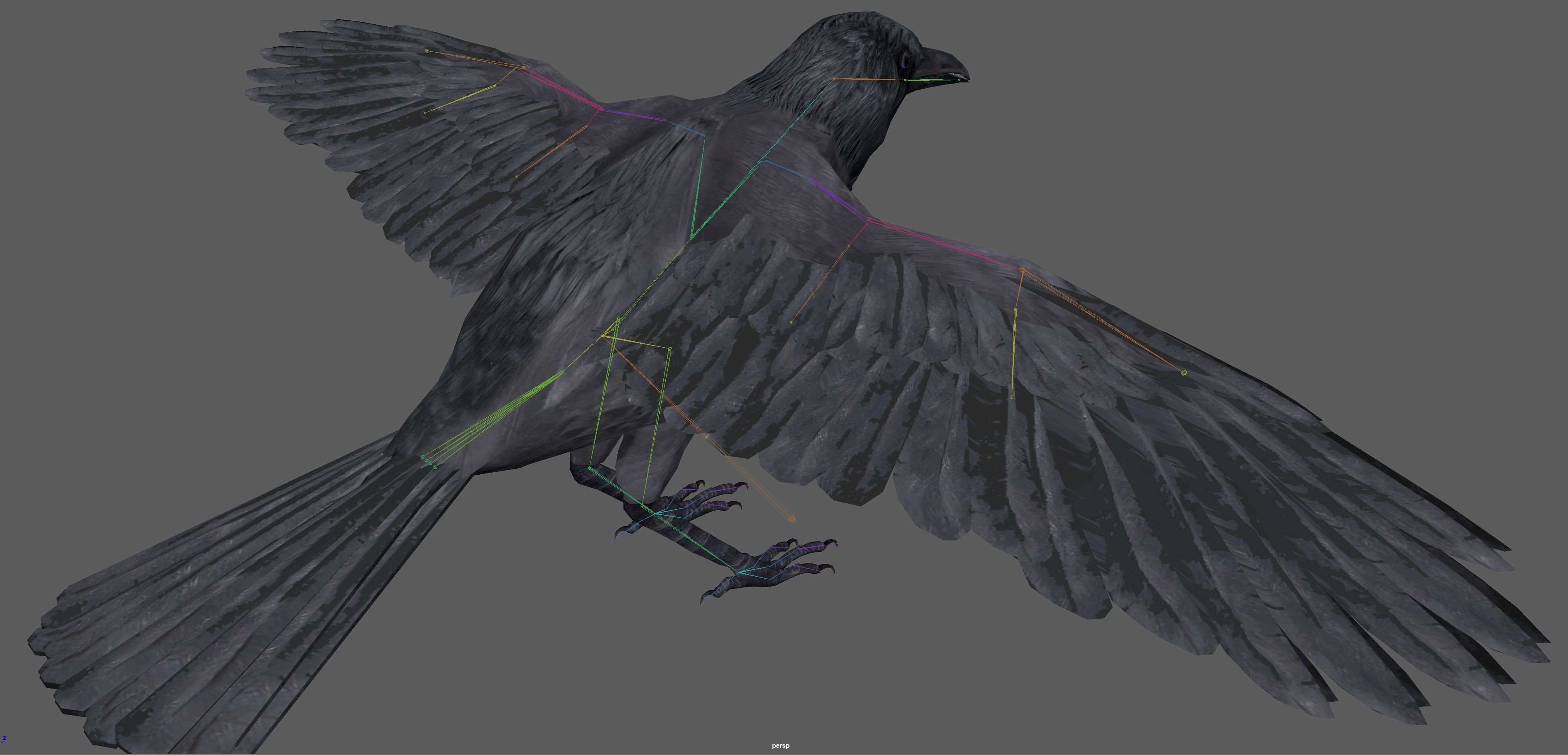 Crow Rig Low-poly 3D model_18