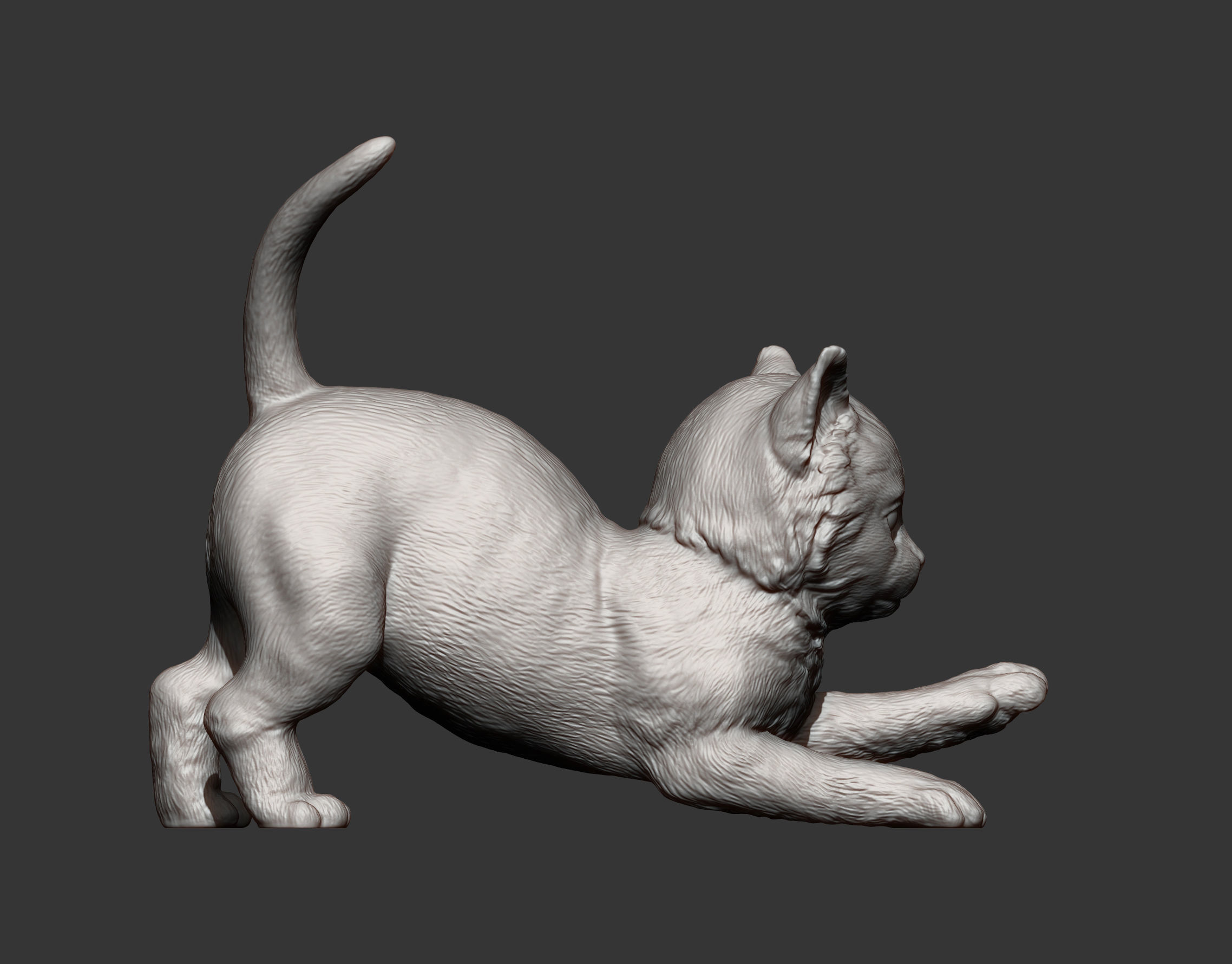 kitty sculpture of kitten 3D print model_5