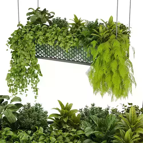 Collection plant vol 347 - ampelous  hanging - cinema 4d  3D model