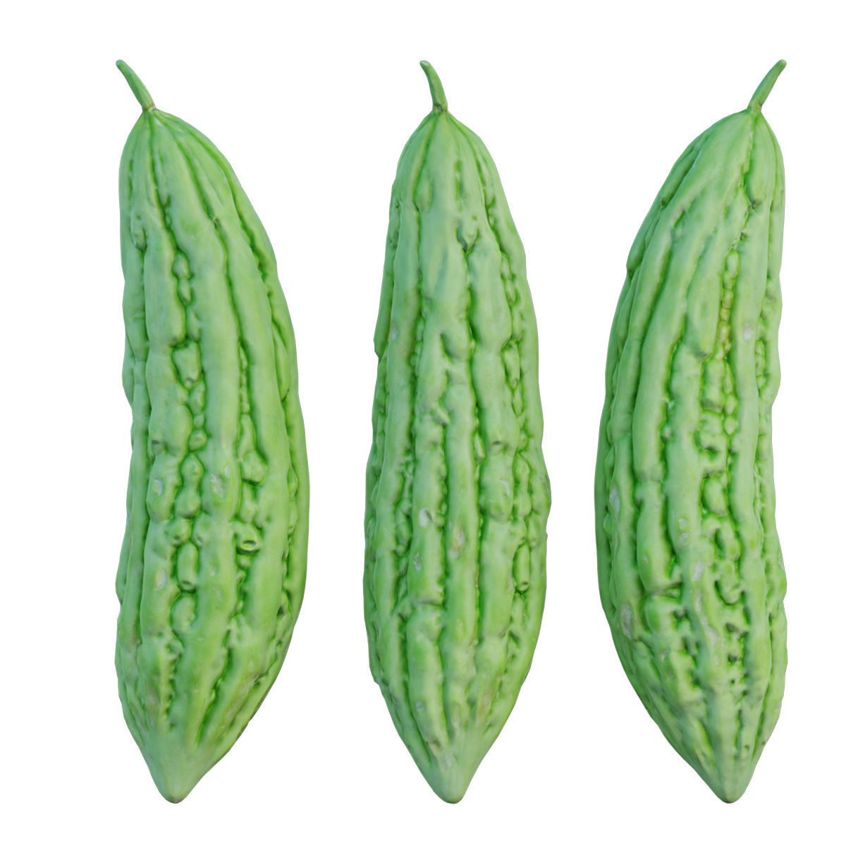 Bitter melon 3D model_3