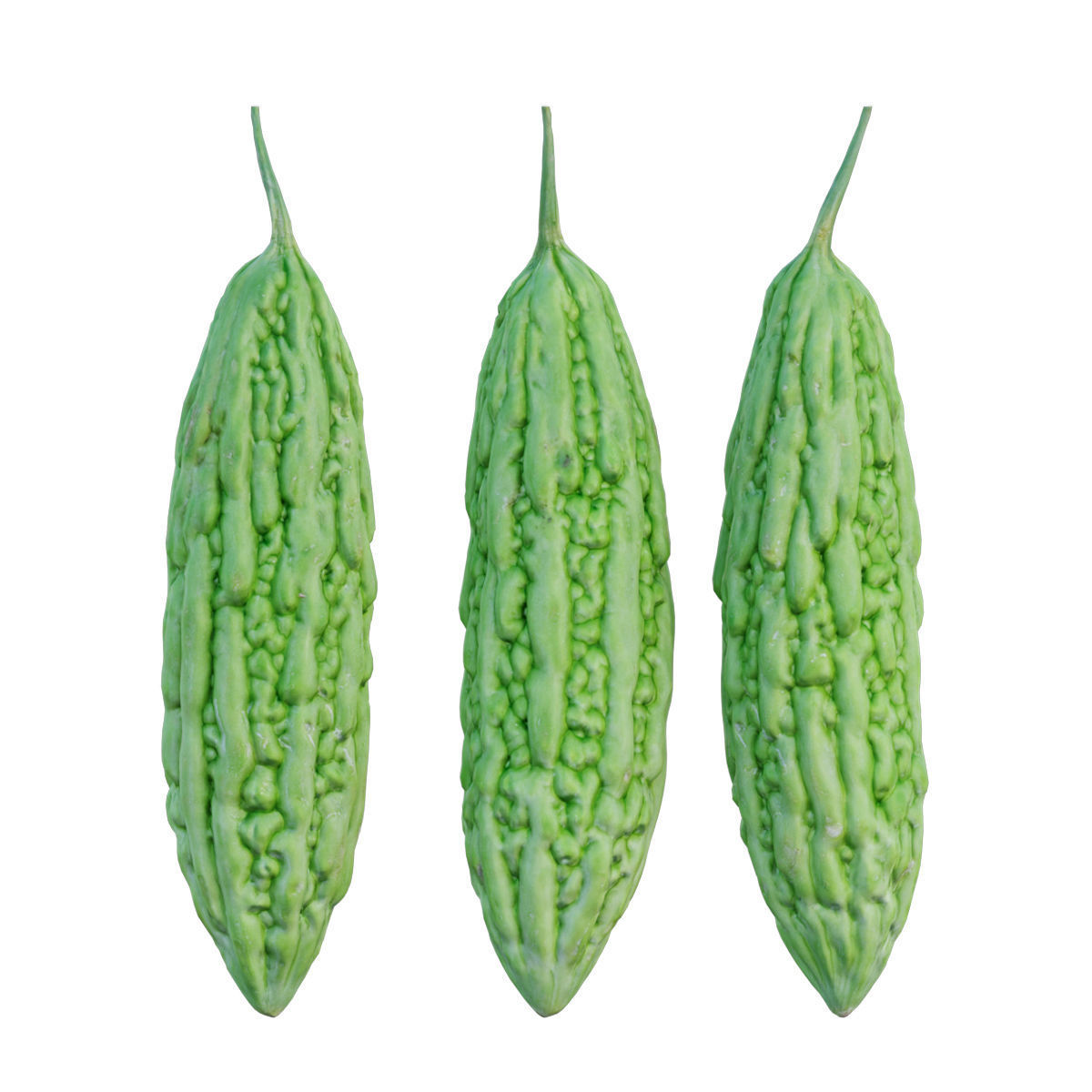 Bitter melon 3D model_2