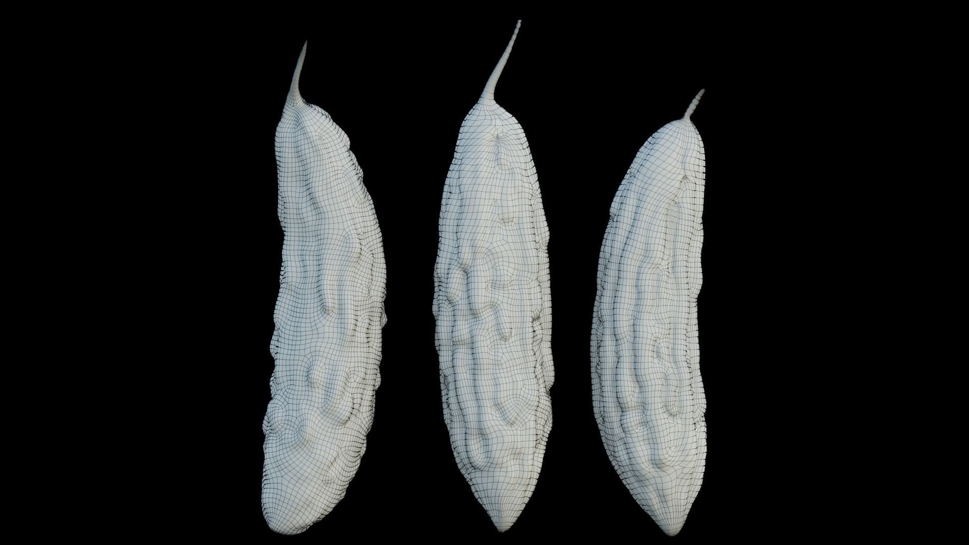 Bitter melon 3D model_6