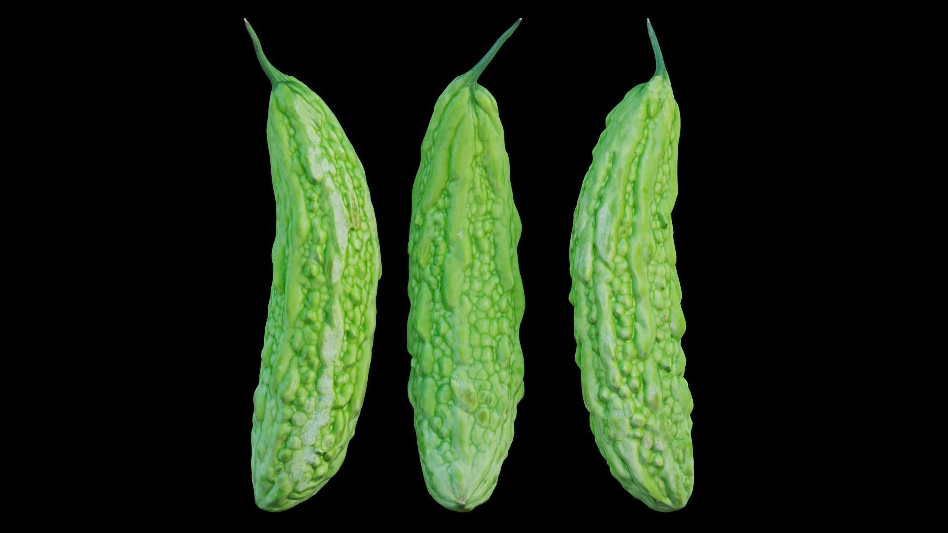 Bitter melon 3D model_7