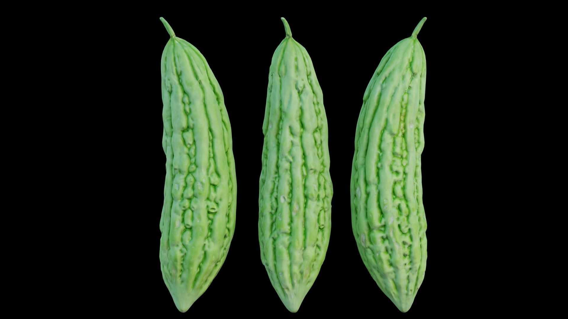 Bitter melon 3D model_9