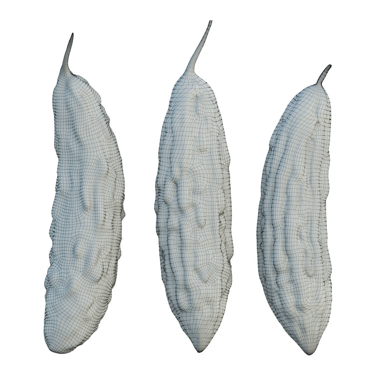 Bitter melon 3D model_4