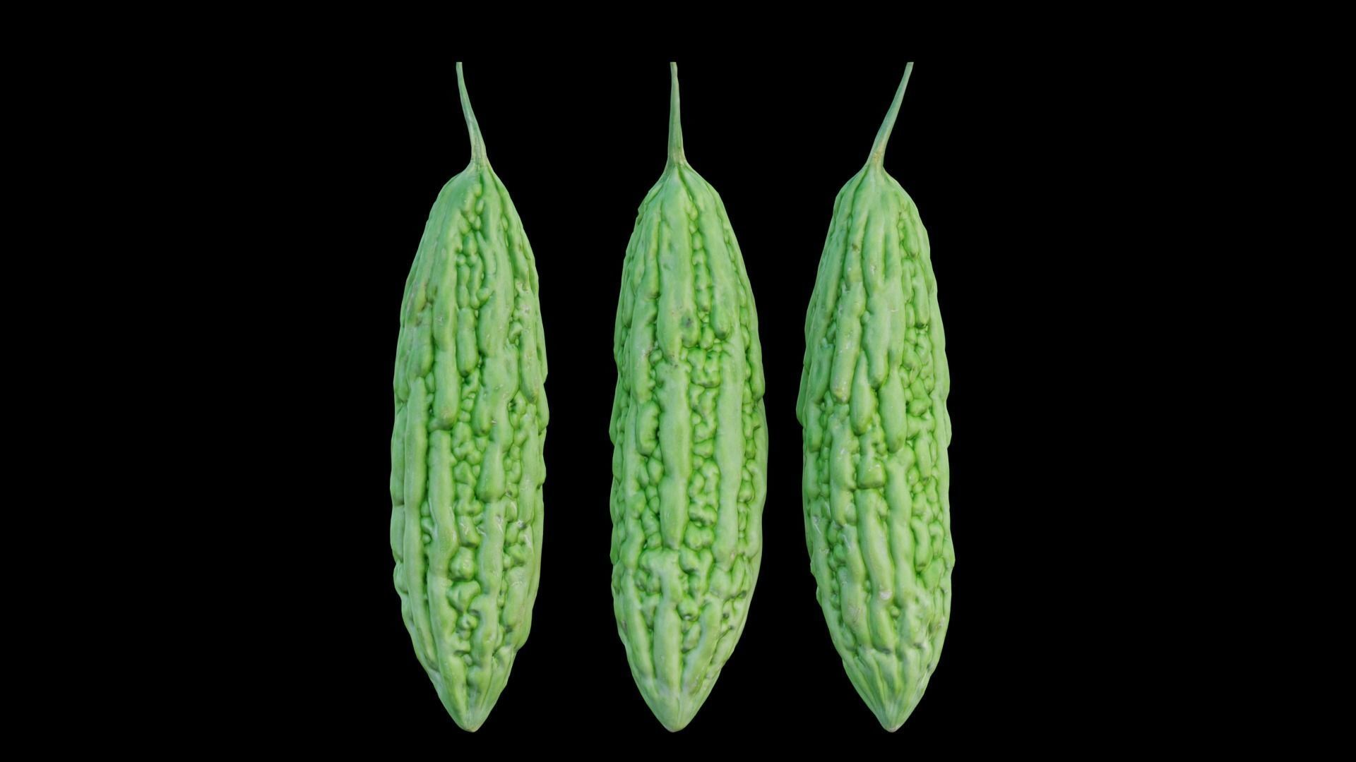 Bitter melon 3D model_8