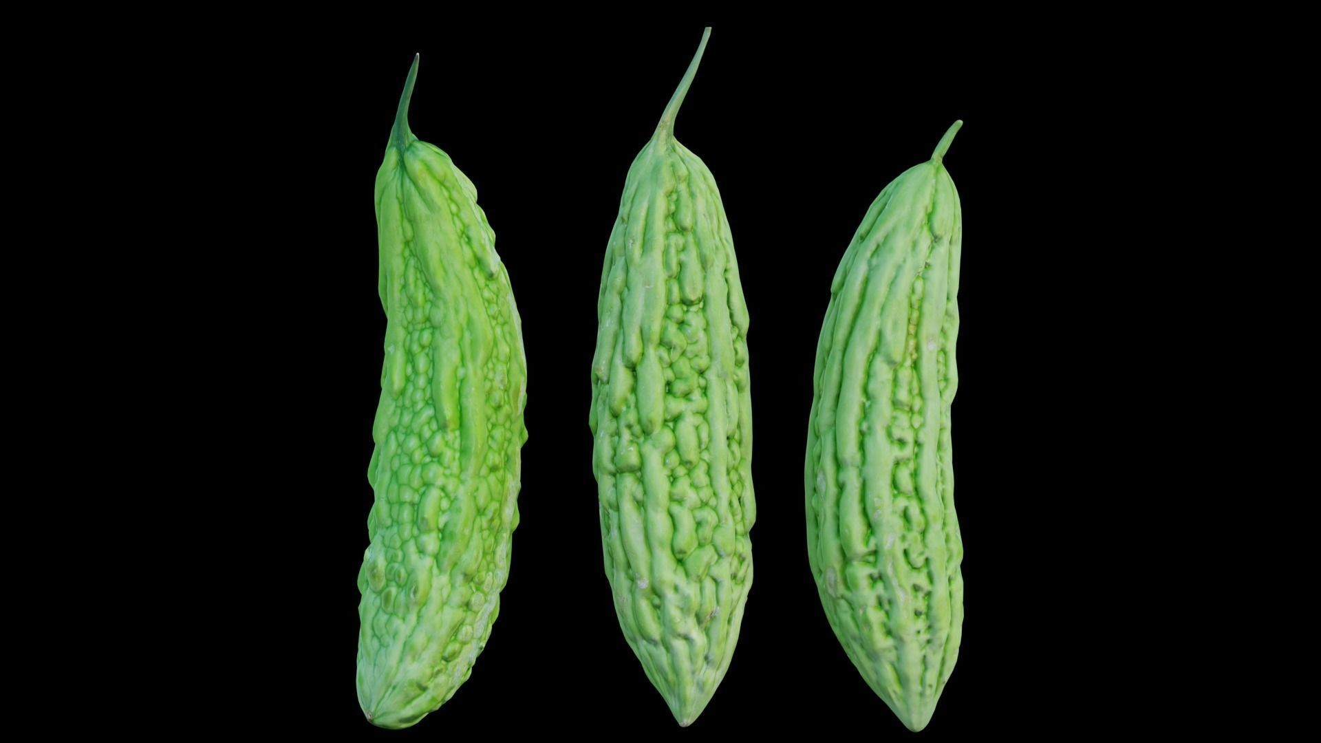 Bitter melon 3D model_5